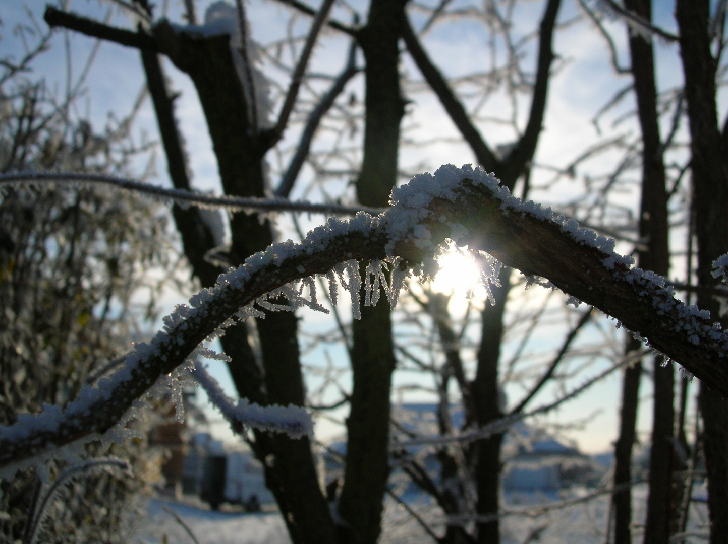 Im Garten #2