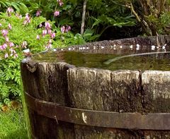 Im Garten - altes Wasserfaß