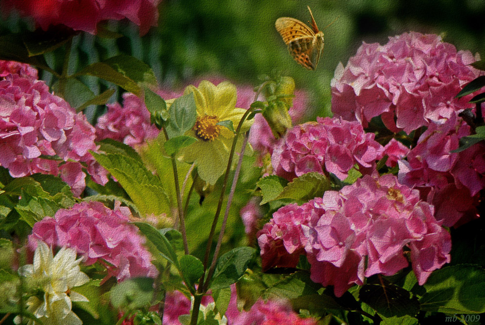 im Garten