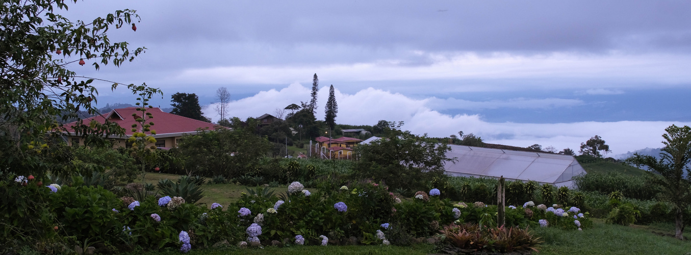 ...im Garten der Guayabo Lodge...