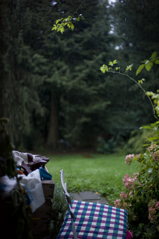 im garten der kindheit regnet es