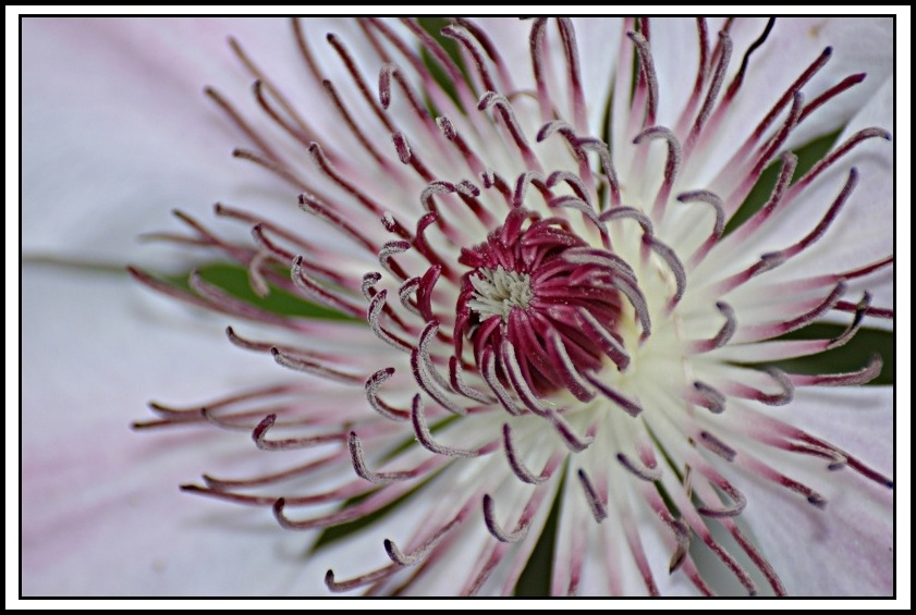 Im Garten der Schwiegereltern