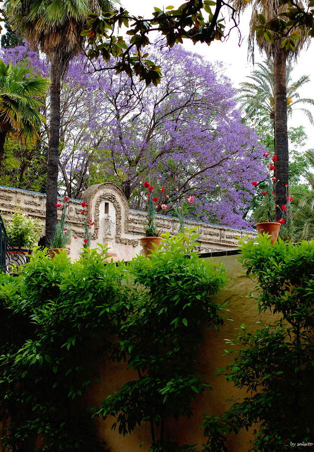 Im Garten des Alcazar