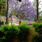 Im Garten des Alcazar