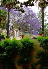 Im Garten des Alcazar