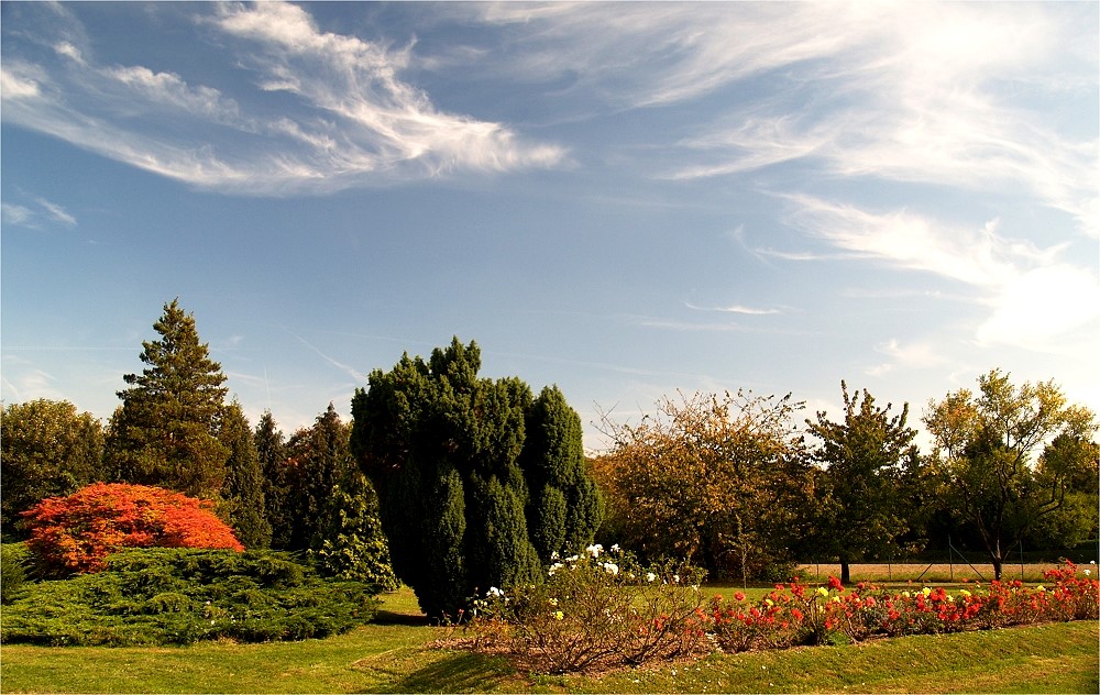 Im Garten des Baha'i-Tempels