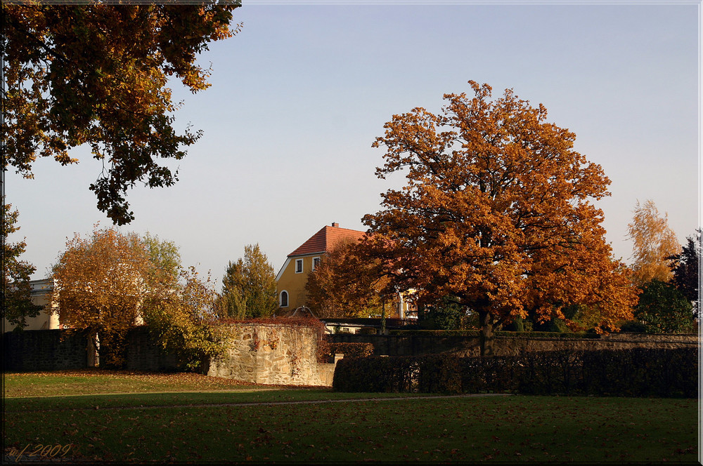 Im Garten des Bischof - Benno - Haus