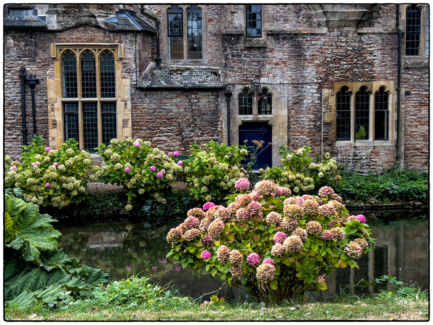 Im Garten des Bischofs von Wells