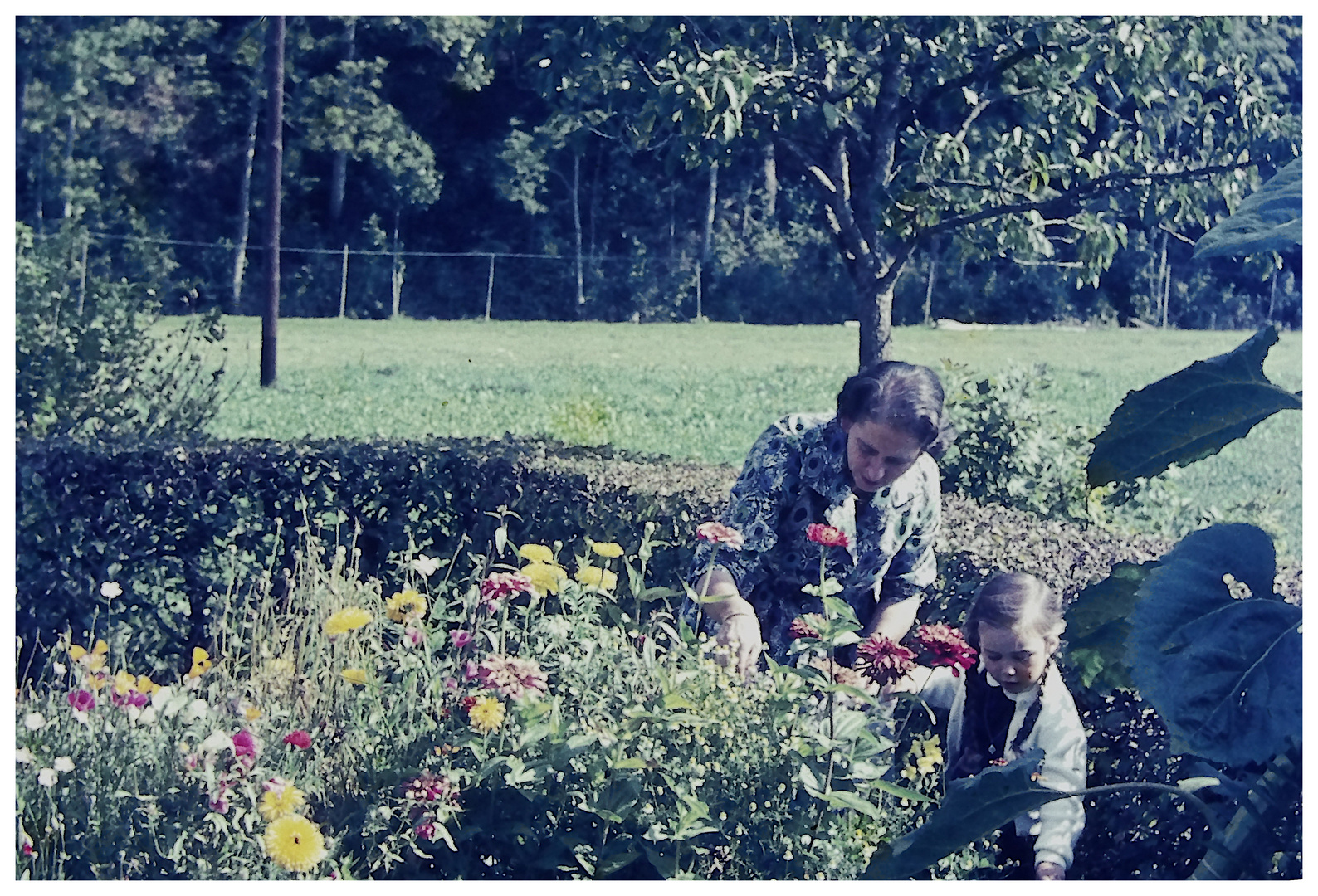 Im Garten des Wochenendhauses