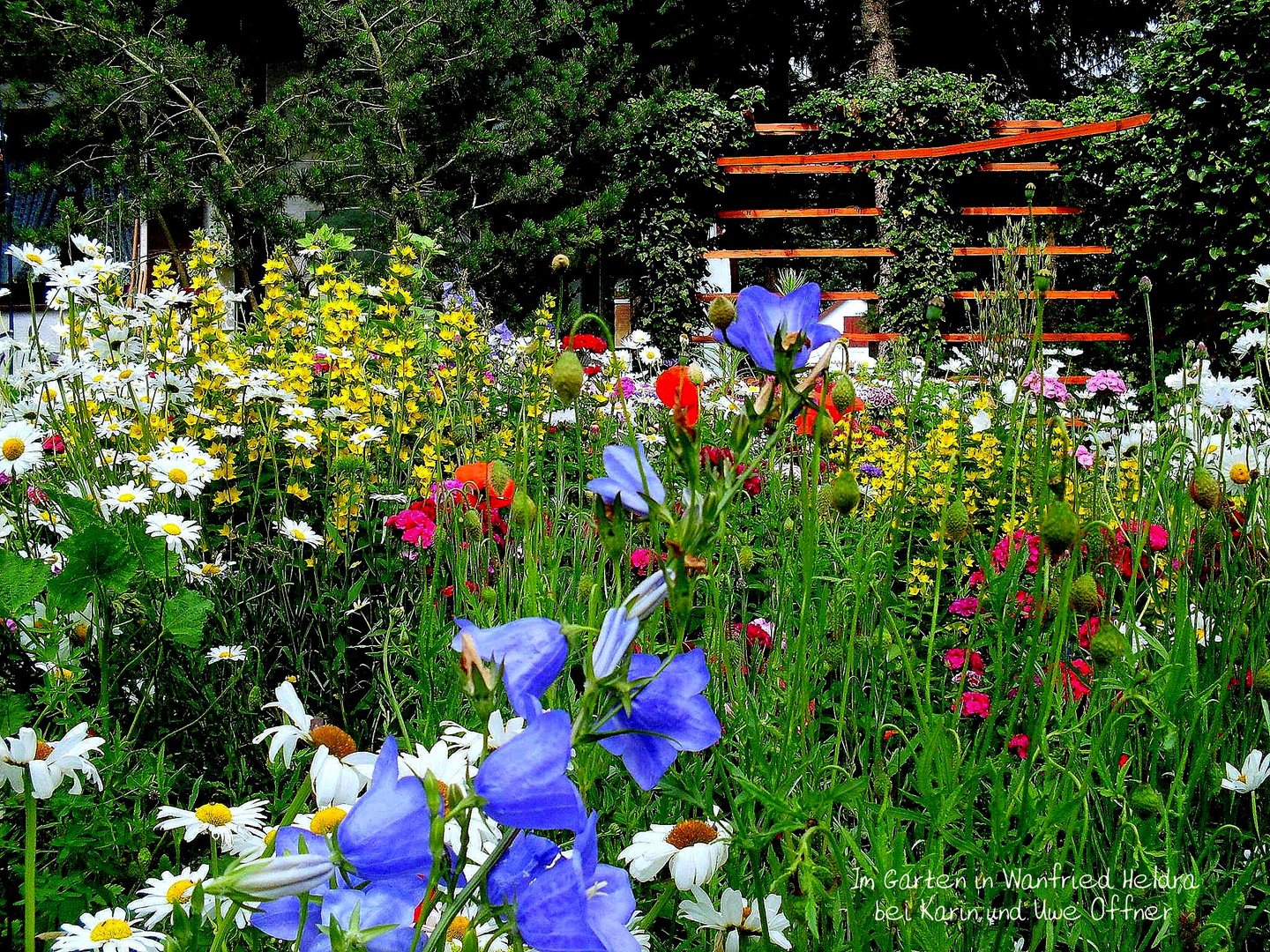 Im Garten in Wanfried Helldra in Deutschland bei Karin und Uwe Offner