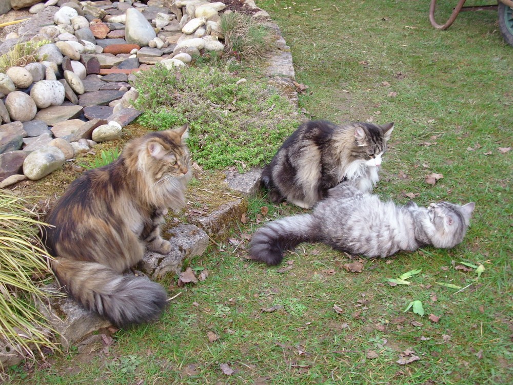 Im Garten ist es am Schönsten!