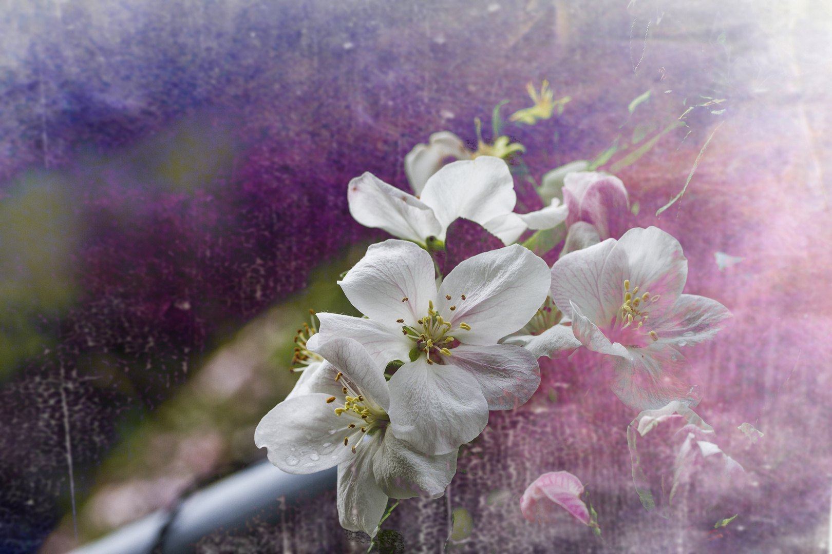 Im Garten meiner Träume