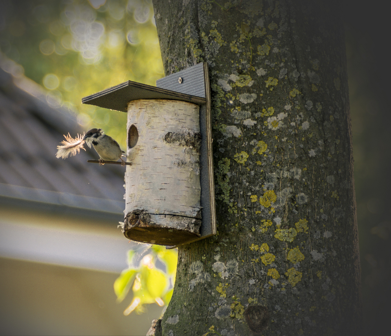 ...im Garten ~ Nestbau...