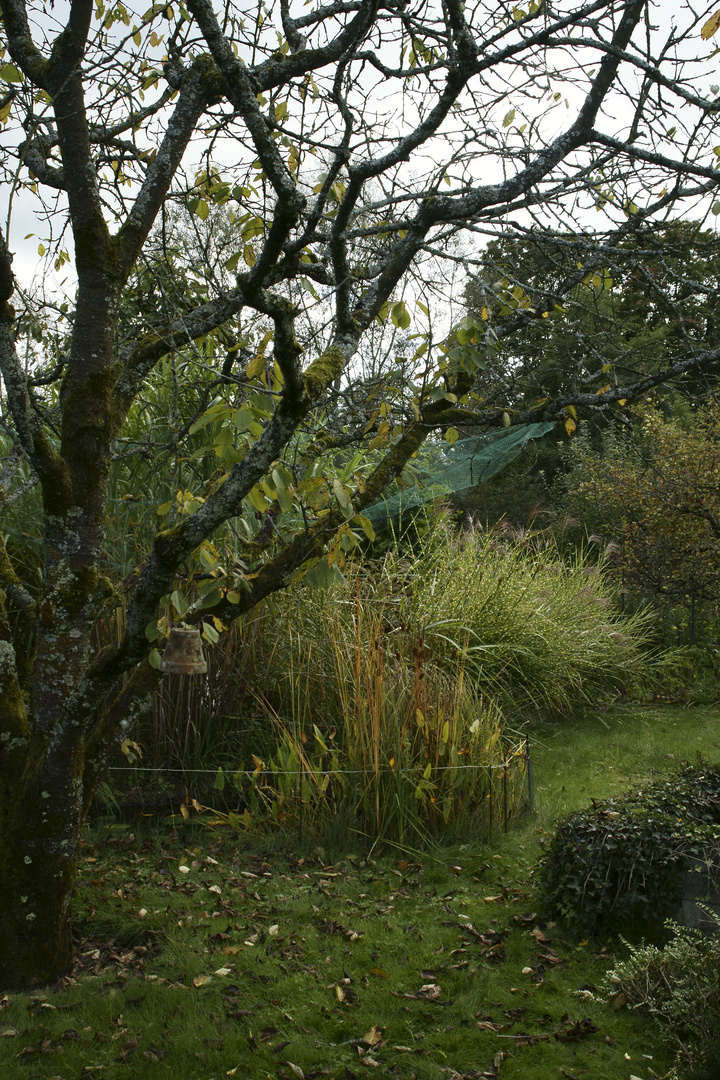 Im Garten Oktober 2017