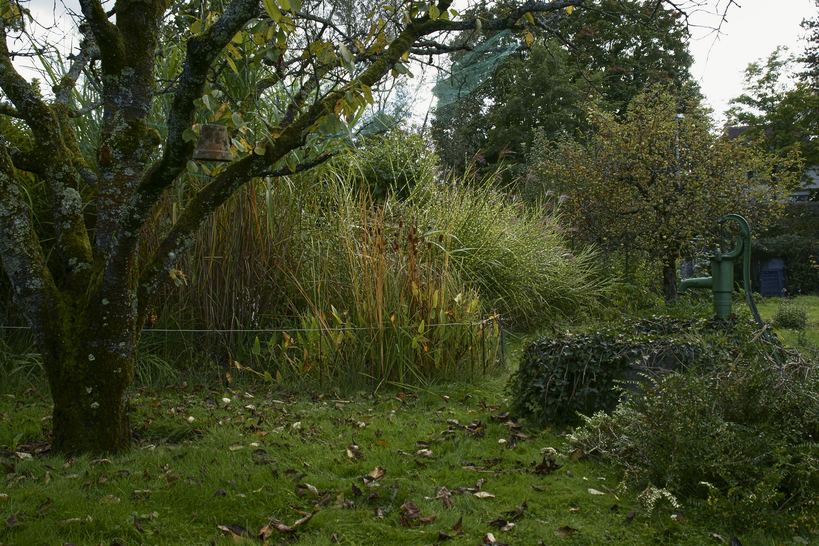 Im Garten Oktober 2017