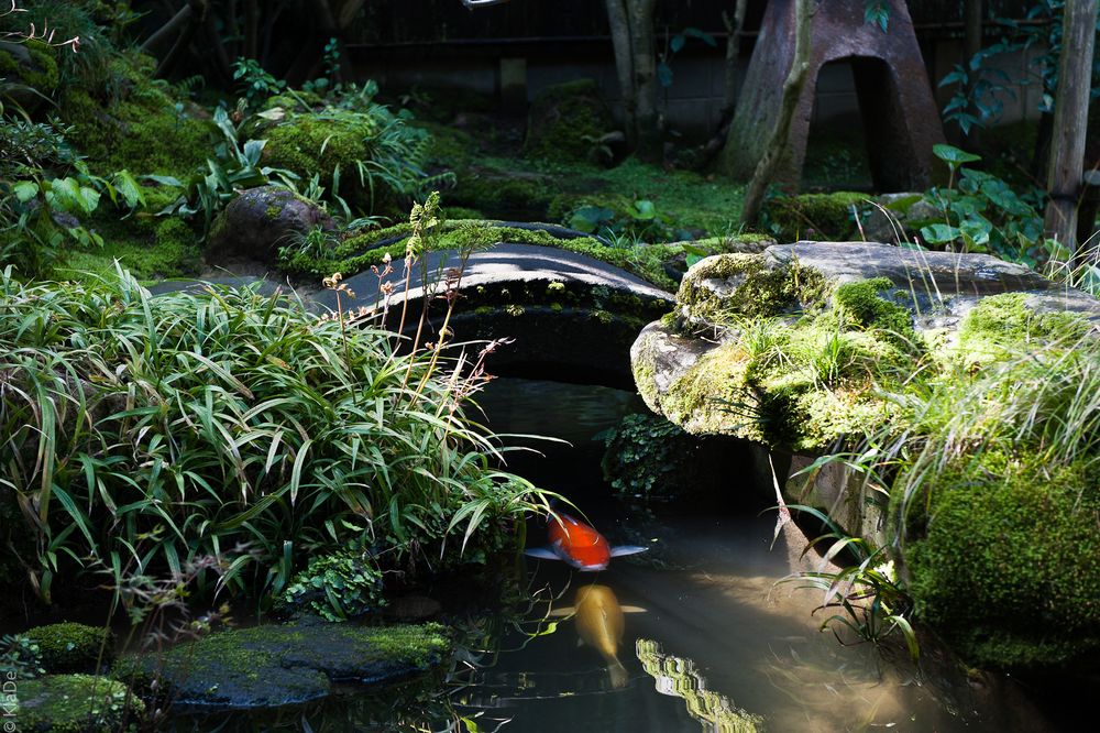 Im Garten - Samuraihaus in Kanazawa