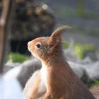 Im Garten Sicherheit prüfen