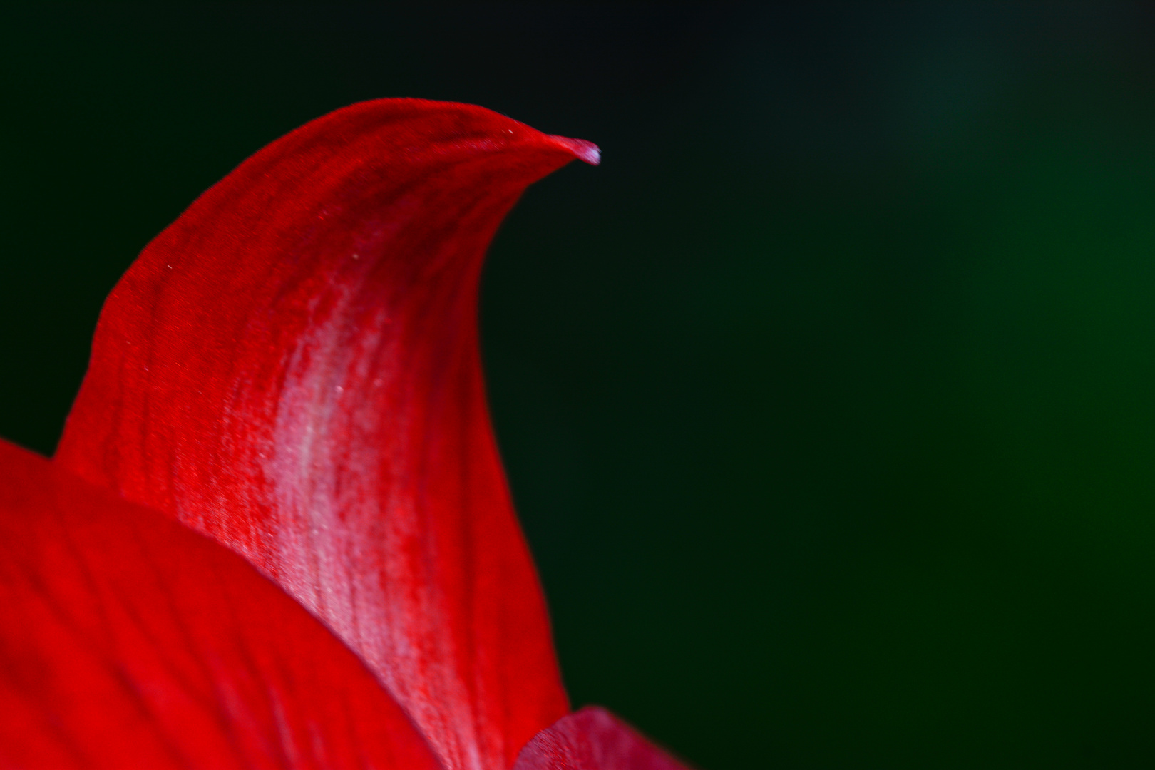 Im Garten und beim Spaziergang 