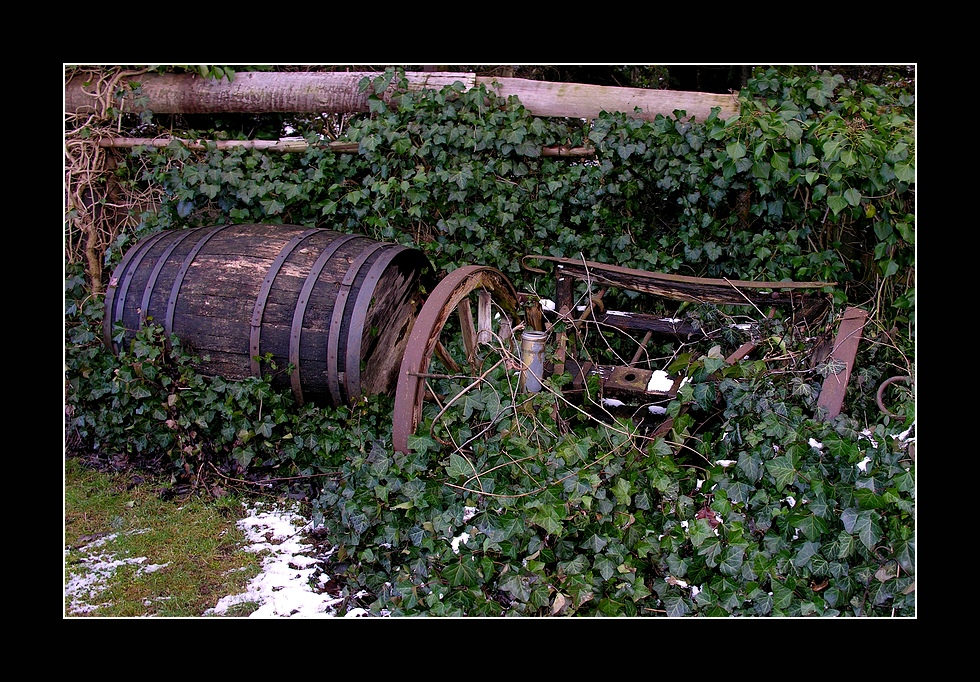 Im Garten unseres Nachbarn Foto & Bild marodes, specials
