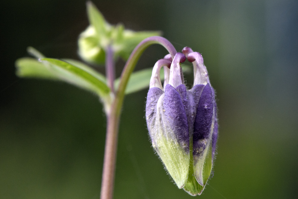 Im Garten unterwegs