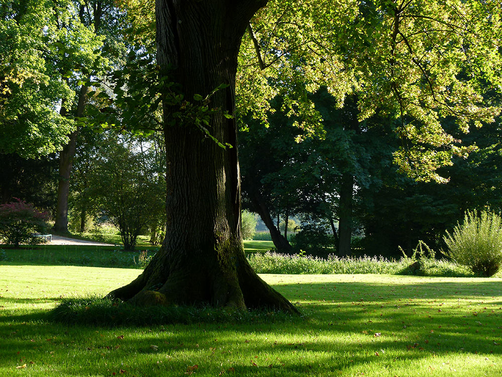 Im Garten vom Schloss Favorite