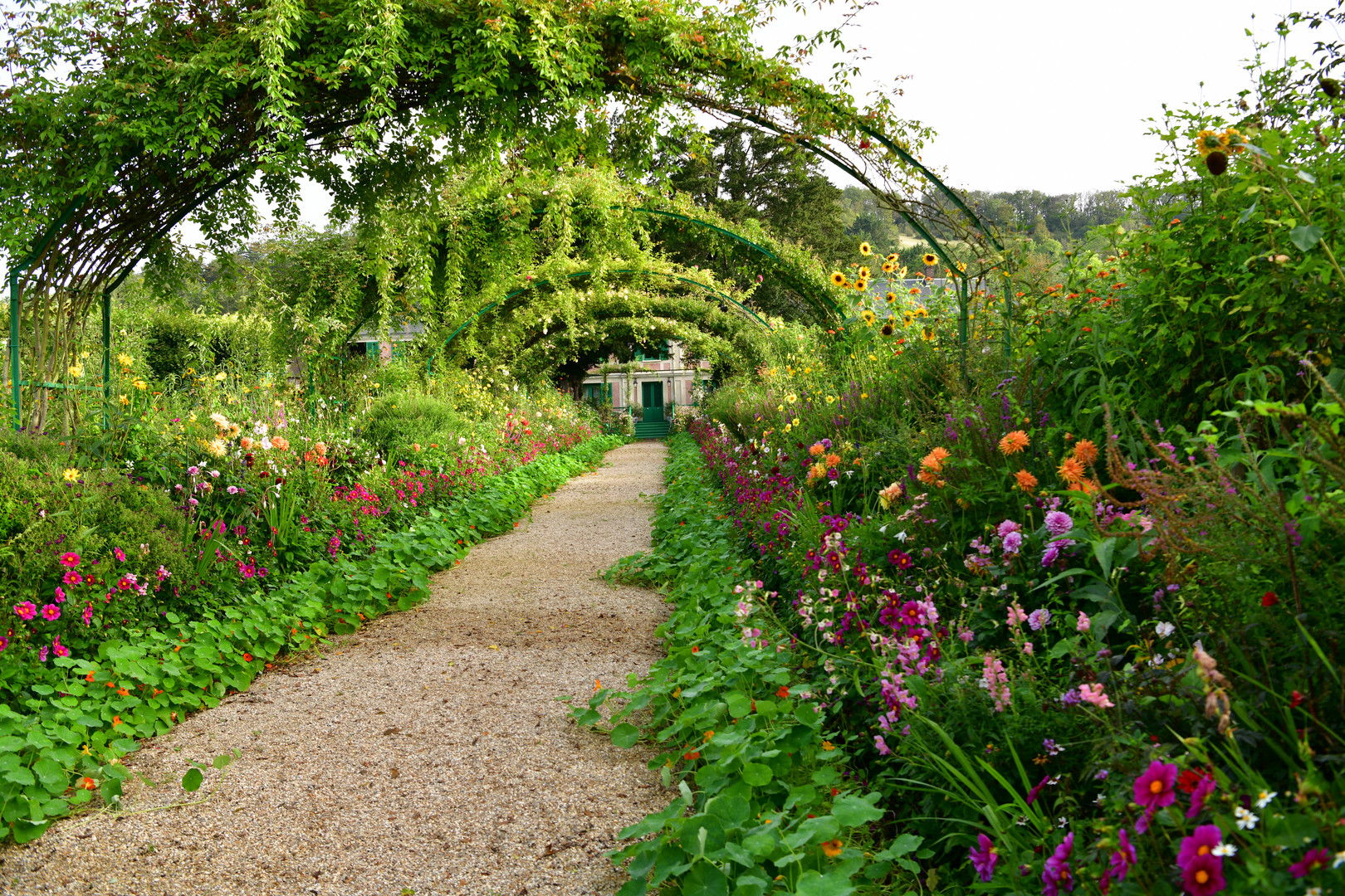 Im Garten von Claude Monet I