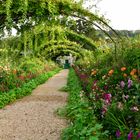 Im Garten von Claude Monet I