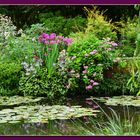 Im Garten von Claude Monet in  Giverny