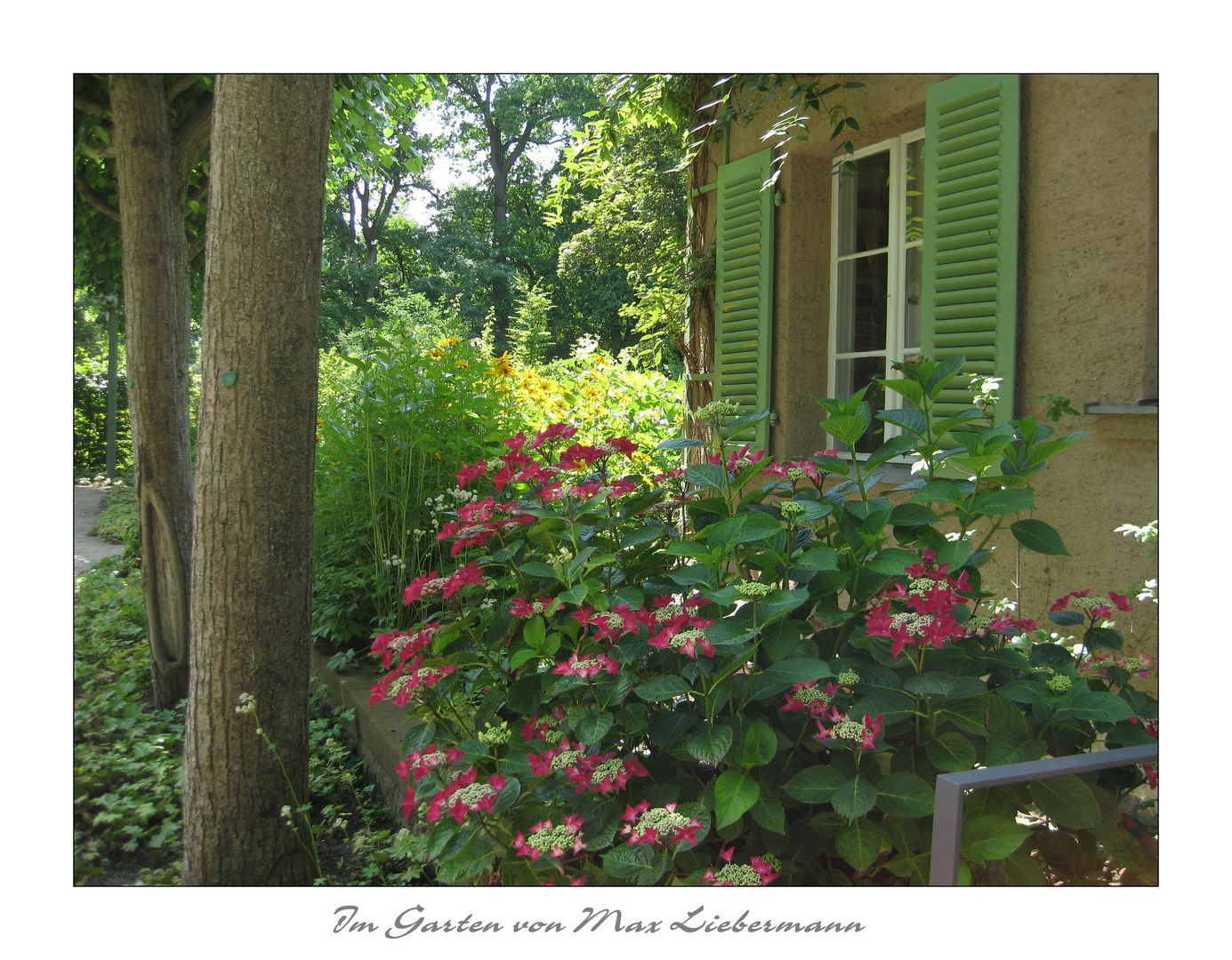 Im Garten von Max Liebermann III