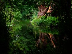 Im Garten von Monet