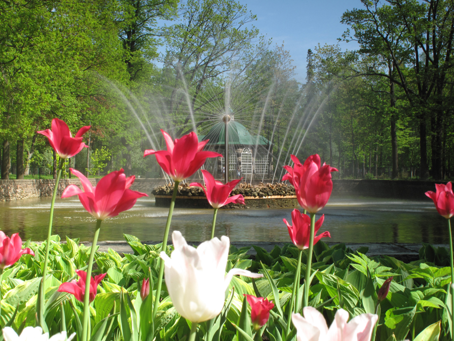 Im Garten (von Peter I)