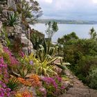 Im Garten von St. Michaels Mount