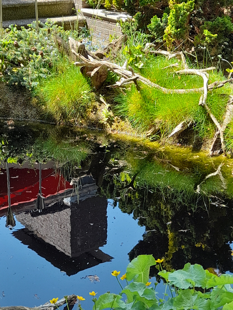 Im Gartenteich