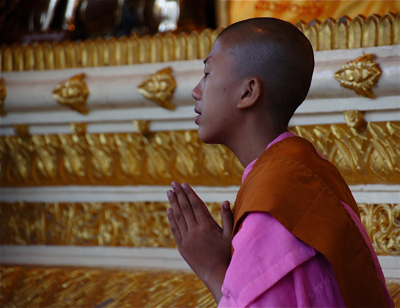 im gebet, shwedagon pagode yangon, burma 2011