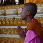 im gebet, shwedagon pagode yangon, burma 2011