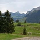 Im Gebiet der Bommenalp (Alpsteingebiet)