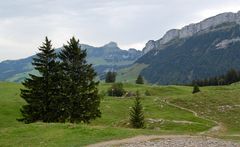 Im Gebiet der Bommenalp (Alpsteingebiet)