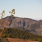 Im Gebirge in Gran Canaria