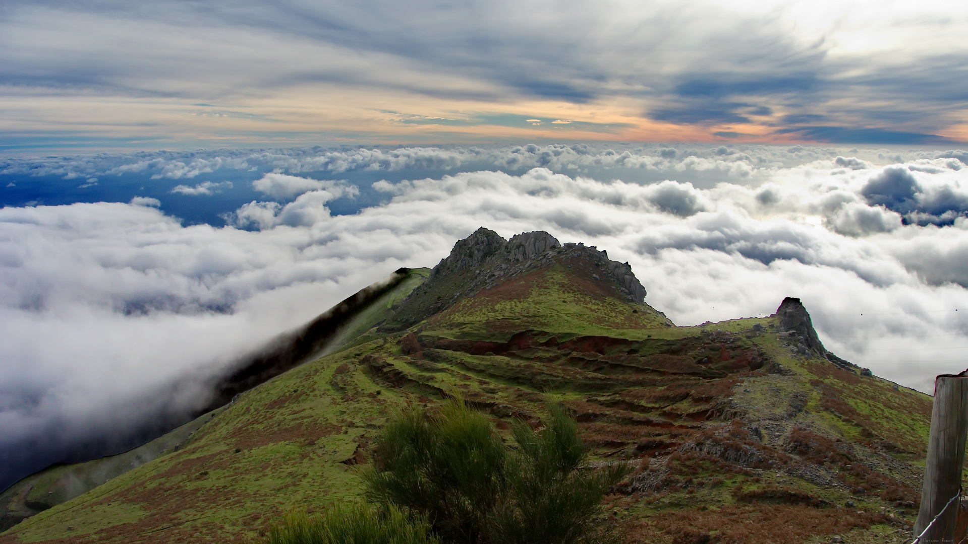 im Gebirgsmoor der Paul da Serra