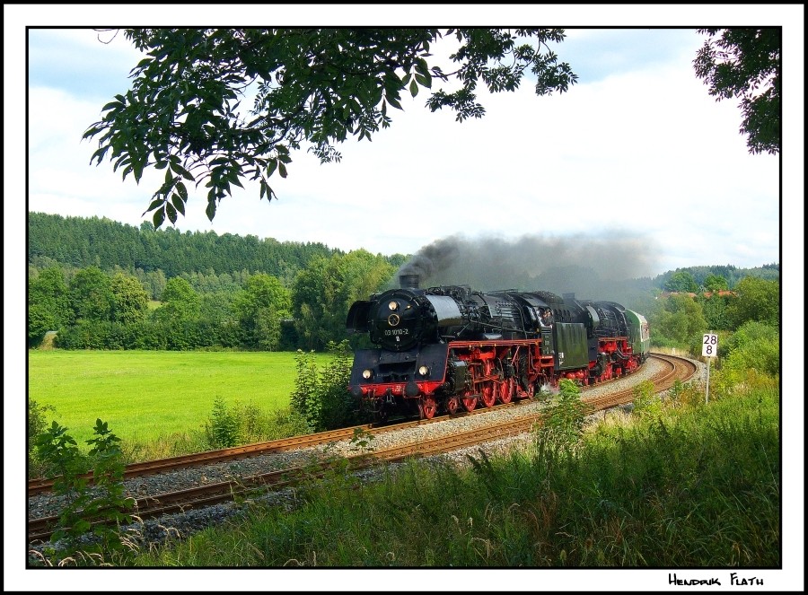 Im Gebüsch...