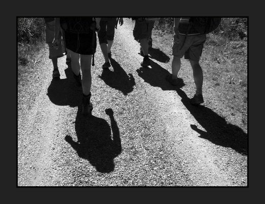 * Im Gedenken an Mario L.