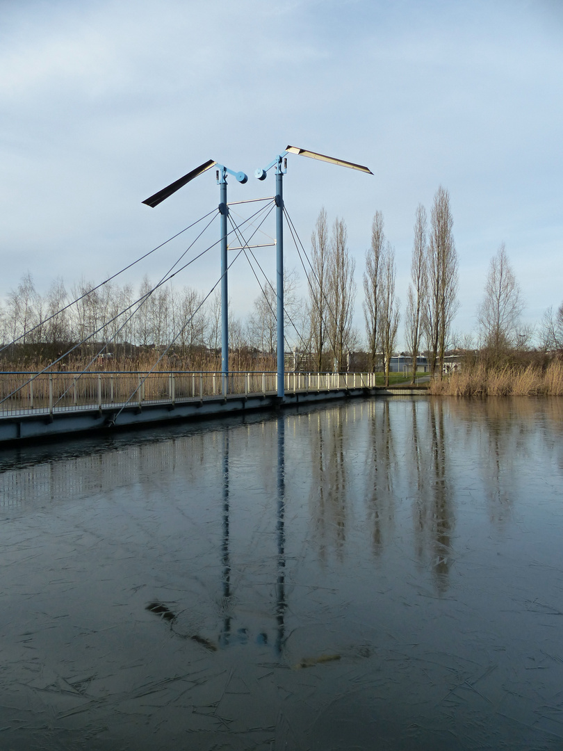 im gefrorenen Teich Foto & Bild spezial, gefroren, bäume Bilder auf