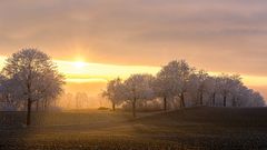 Im Gegenlicht...