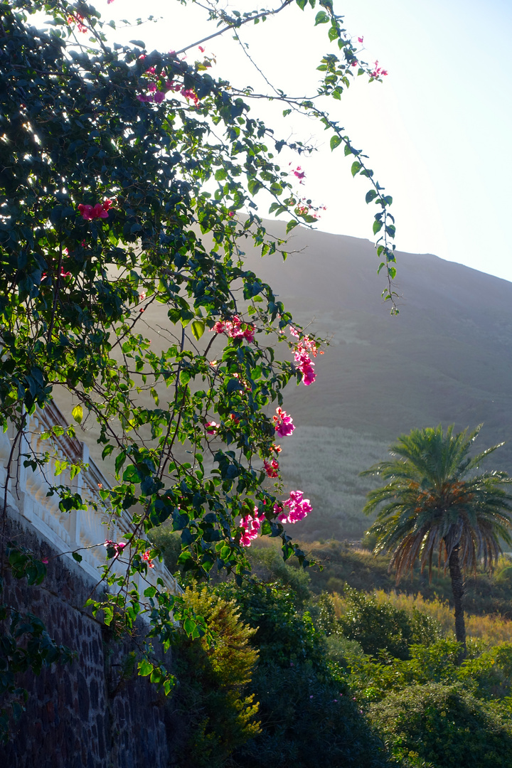 "im Gegenlicht" auf Stromboli