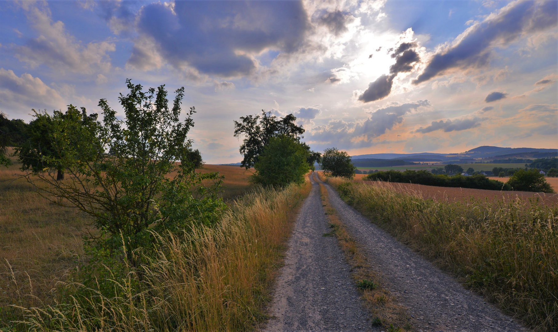 im Gegenlicht: ich bin auf dem richtigen Weg