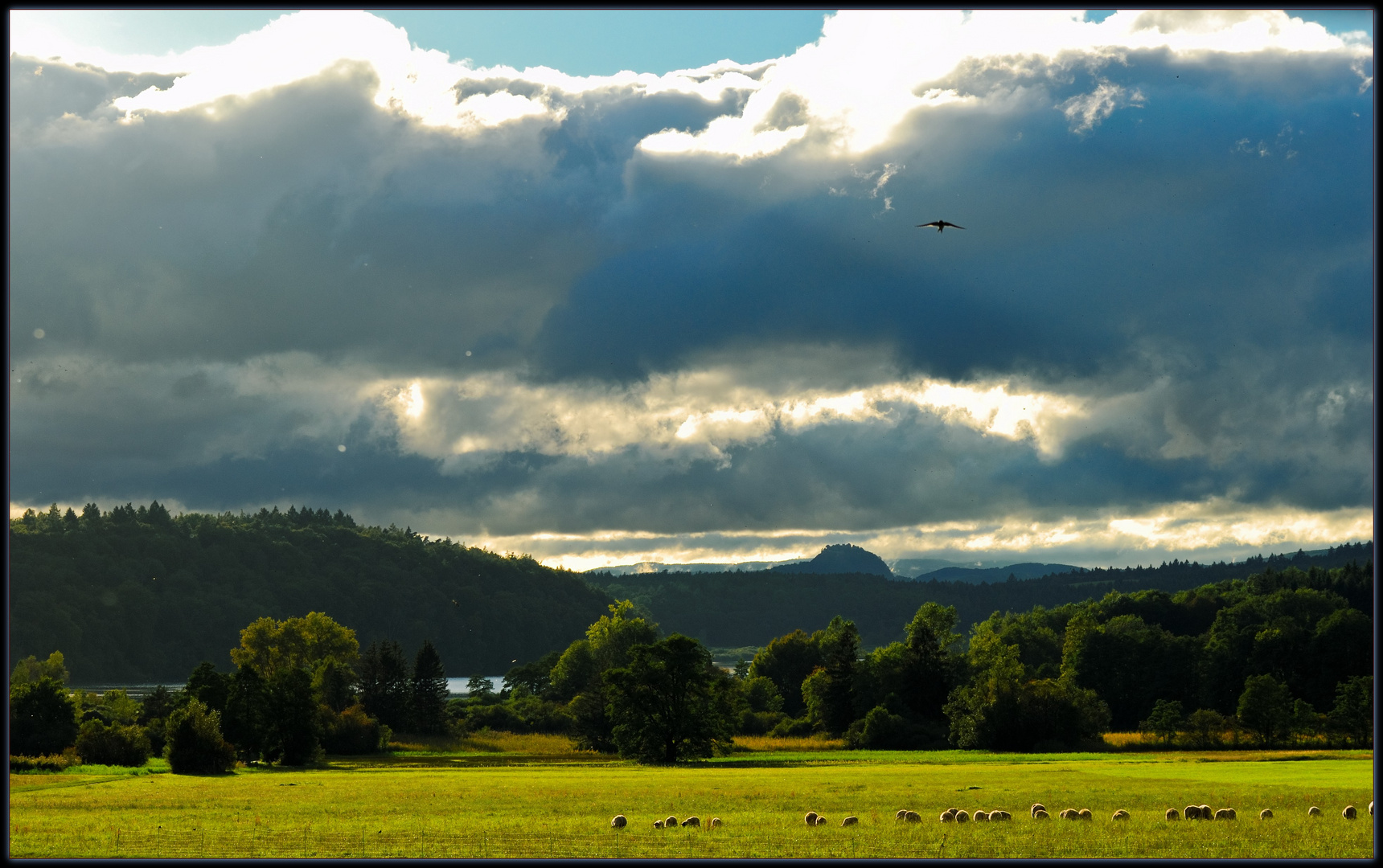 Im Gegenlicht - Landschaft bei Mindelsee, Hohentwiel