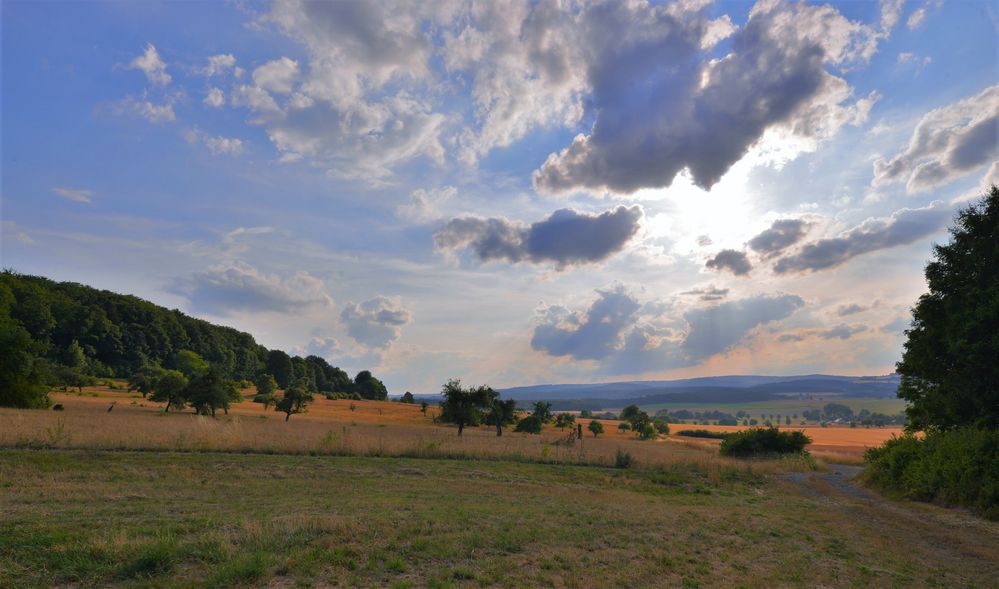 im Gegenlicht: unsere schöne Landschaft