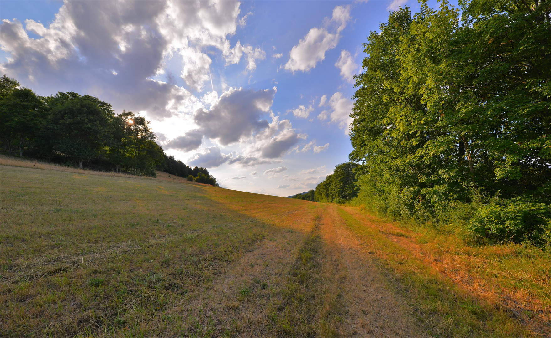 im Gegenlicht: Weg am Hutsberg