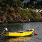 Im gelben Boot eine Fahrt ins Blaue