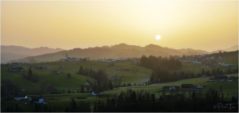 Im gelben Dunst des Saharastaubes 